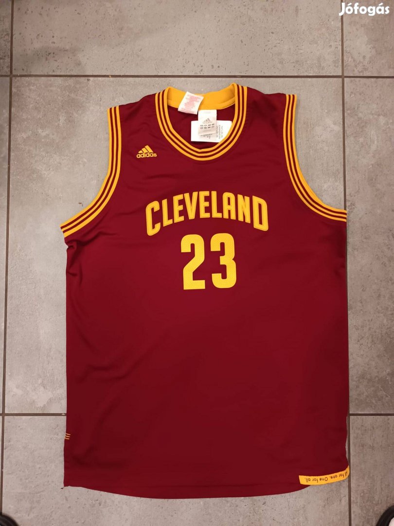 Lebron James Cavaliers mez (176)