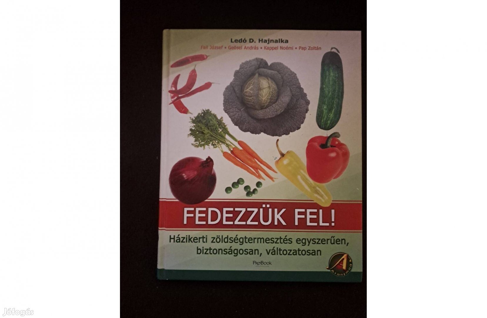Ledó D. Hajnalka (szerk.) - Fedezzük fel!