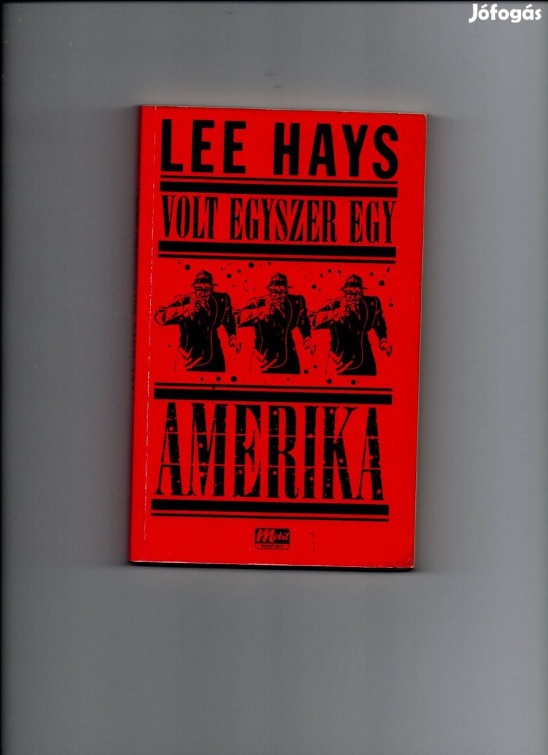 Lee Hays: Volt egyszer egy Amerika - új állapotú filmregény