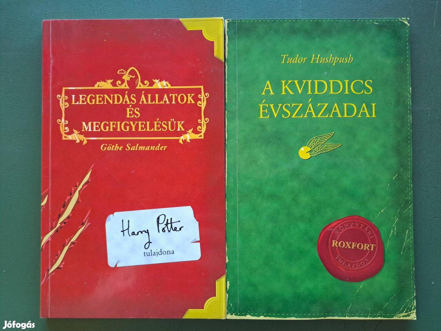 Legendás állatok és megfigyelésük+ A kviddics évszázadai