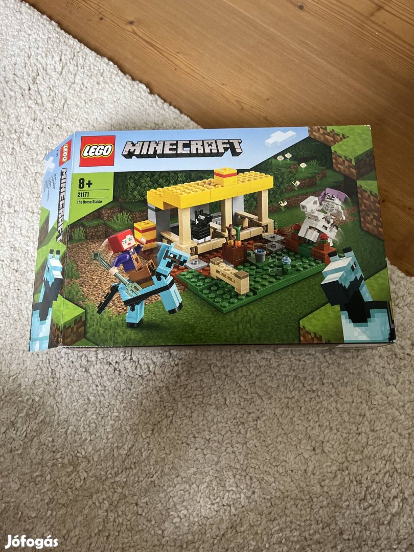 Lego Minecraft 21171