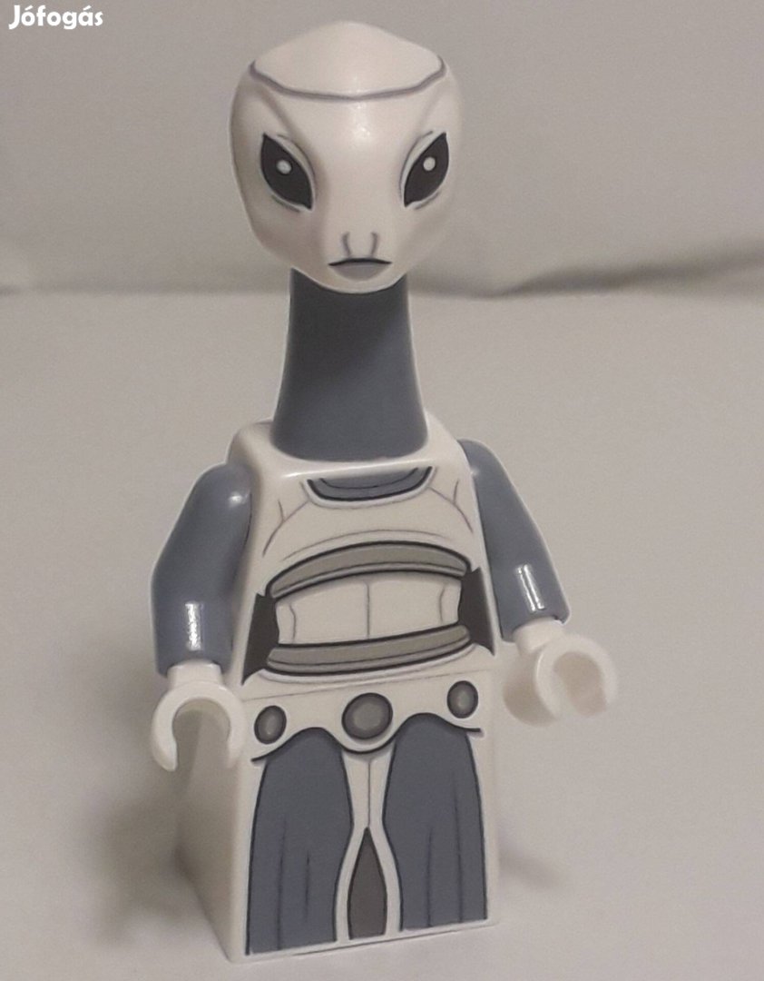 Lego Star Wars 75333 Taun We minifigura 2022