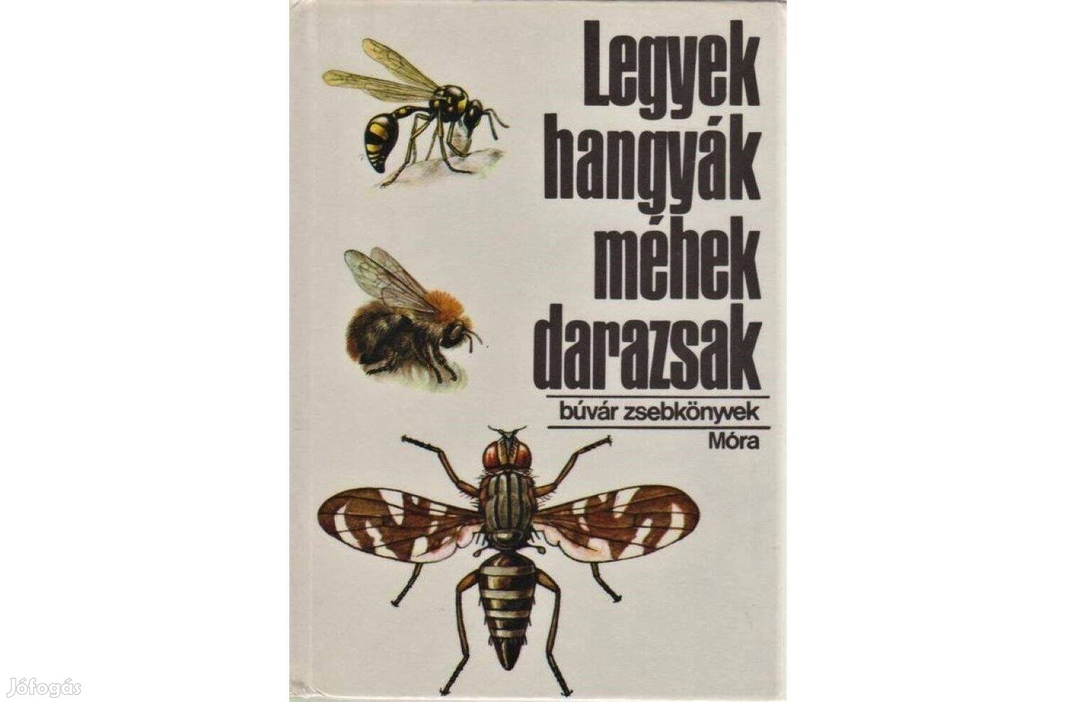 Legyek, hangyák, méhek, darazsak (Búvár Zsebkönyvek)
