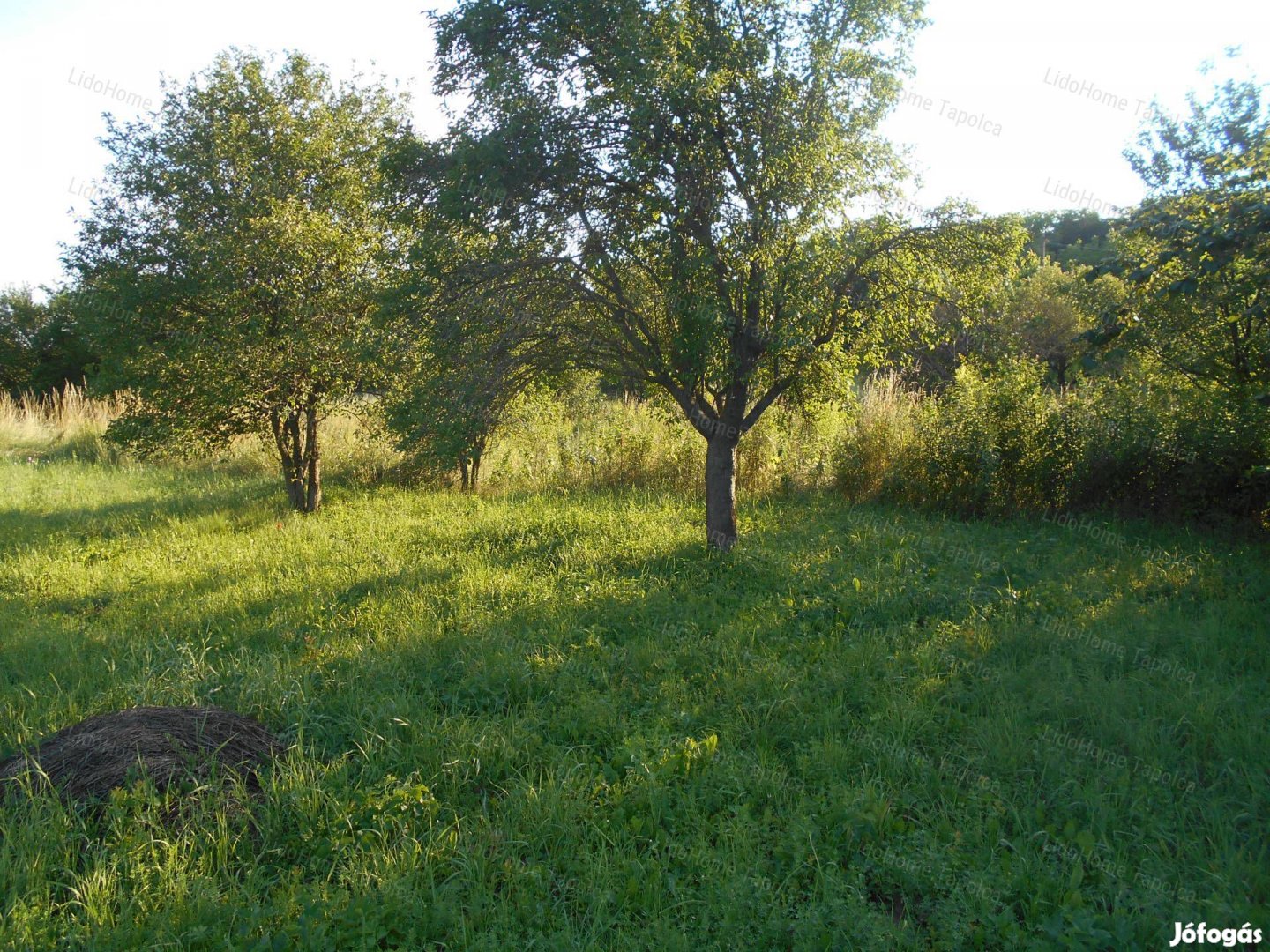 Legyen panorámája, Cserszegtomajon e tájra!