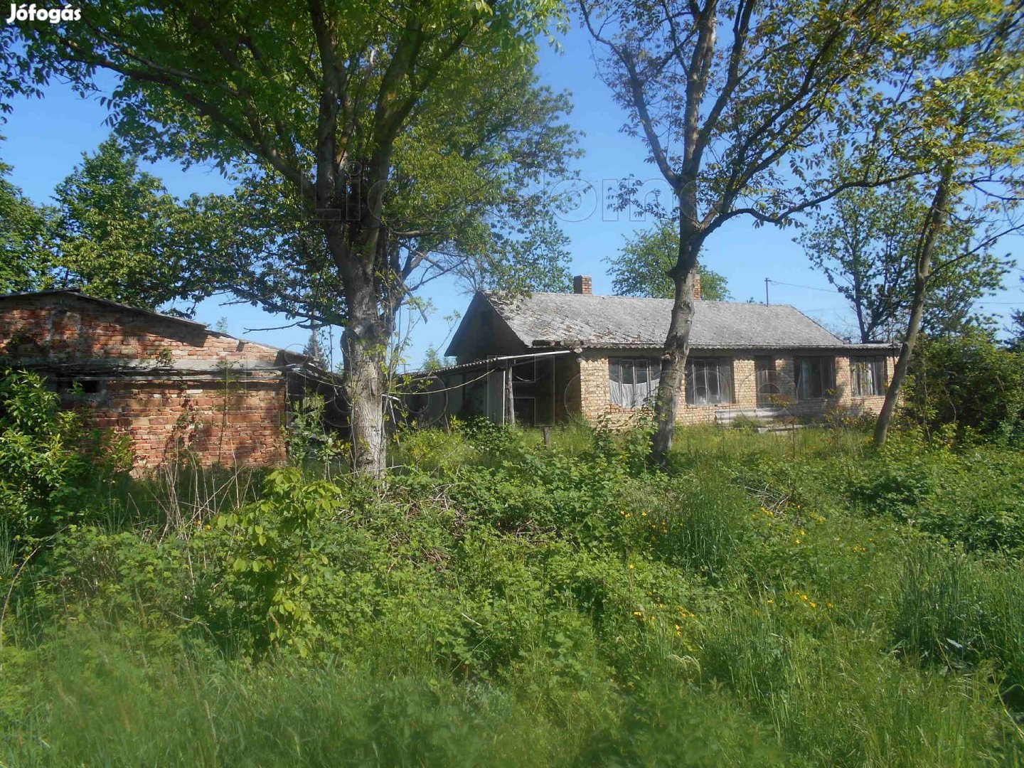 Legyen panorámája, Olaszfán e dombos tájra!