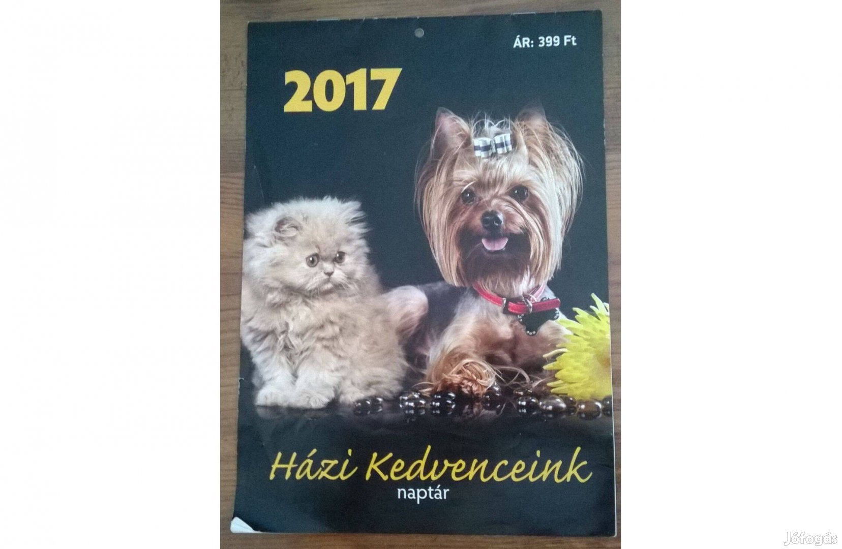 Lejárt naptár kutya, cica/macska képekkel kreatív célra