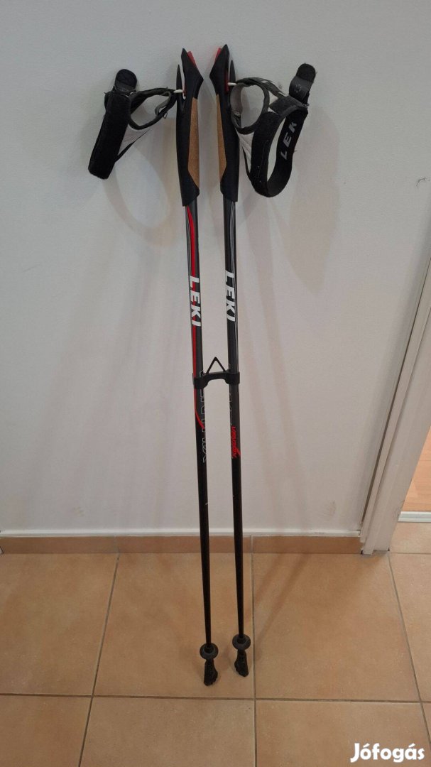 Leki Nordic walking bot