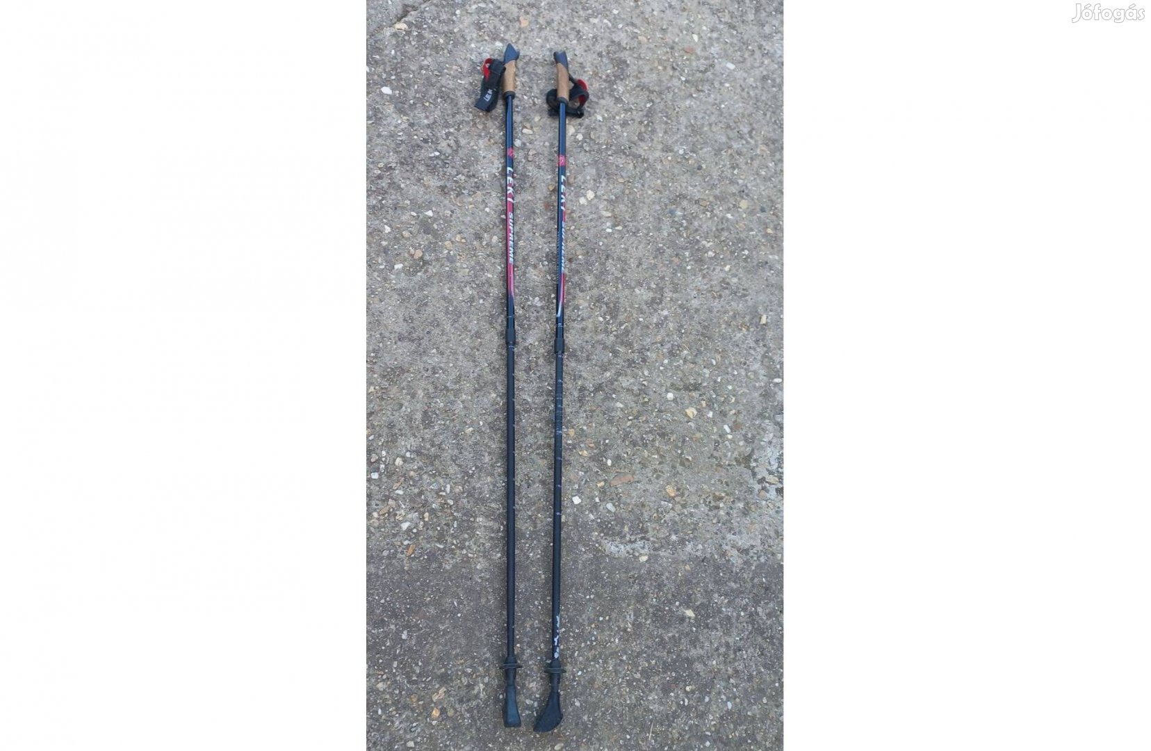 Leki nordic bot