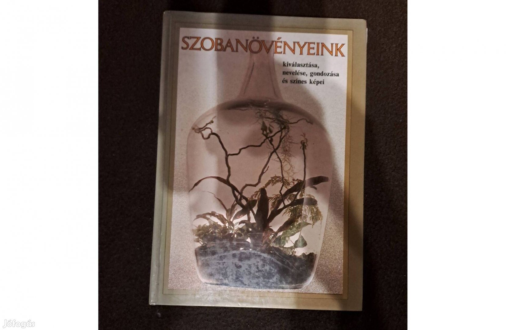 Lelkes Lajos - Szobanövényeink kiválasztása, nevelése, gondozása