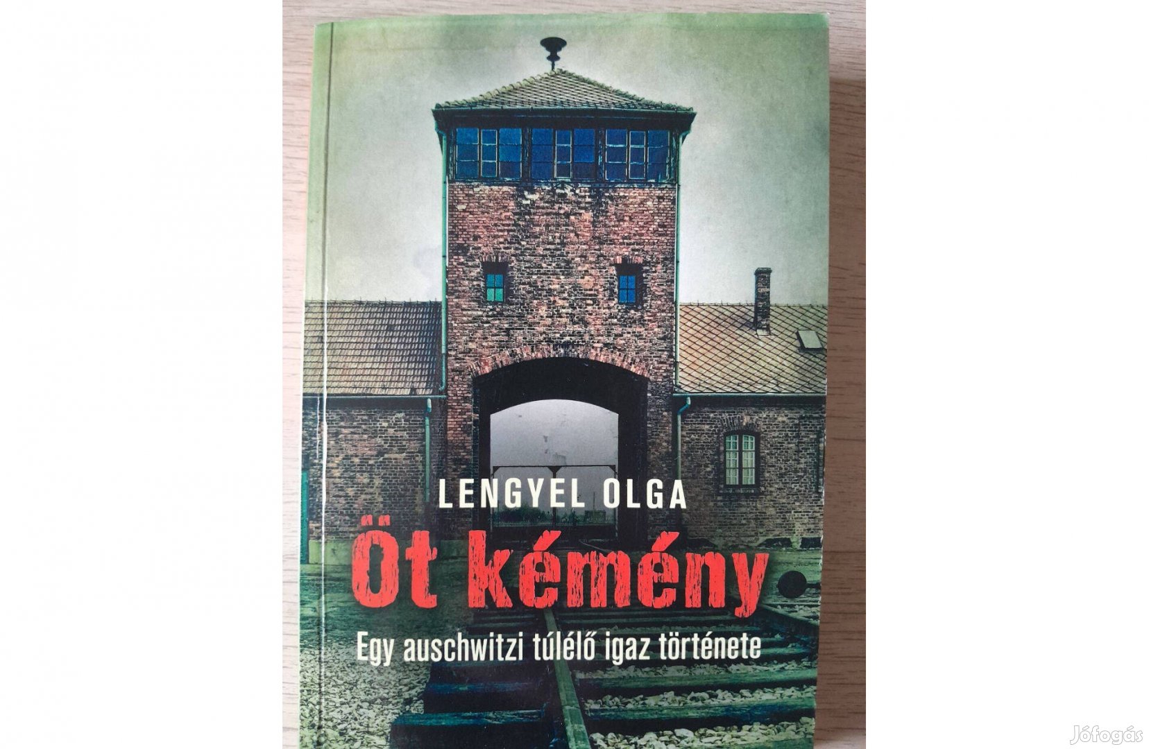 Lengyel Olga Öt kémény