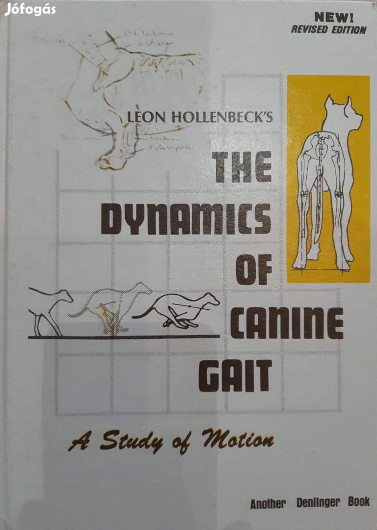 Leon Hollenbecks: The Dynamics of Canine Gait