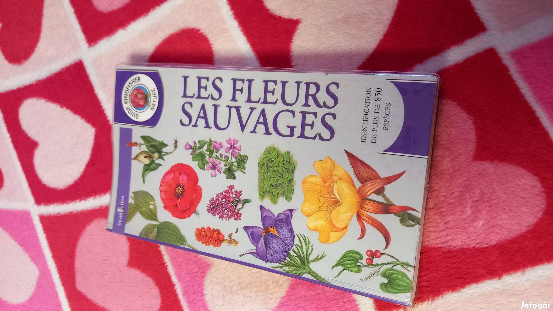 Les fleurs sauvages (vadvirag hatarozo), franciaul, uj