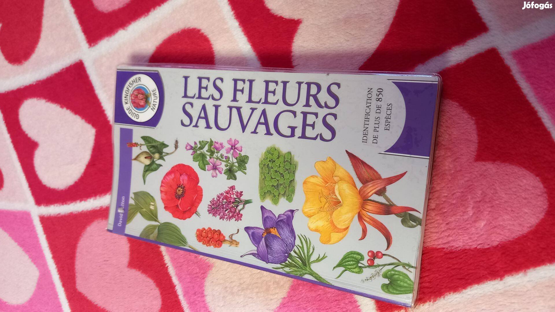 Les fleurs sauvages (vadvirag hatarozo), franciaul, uj