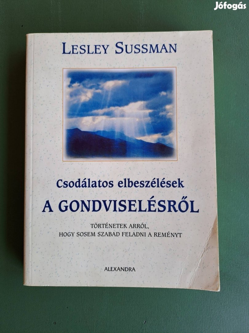 Lesley Sussman: Csodálatos történetek a gondviselésről