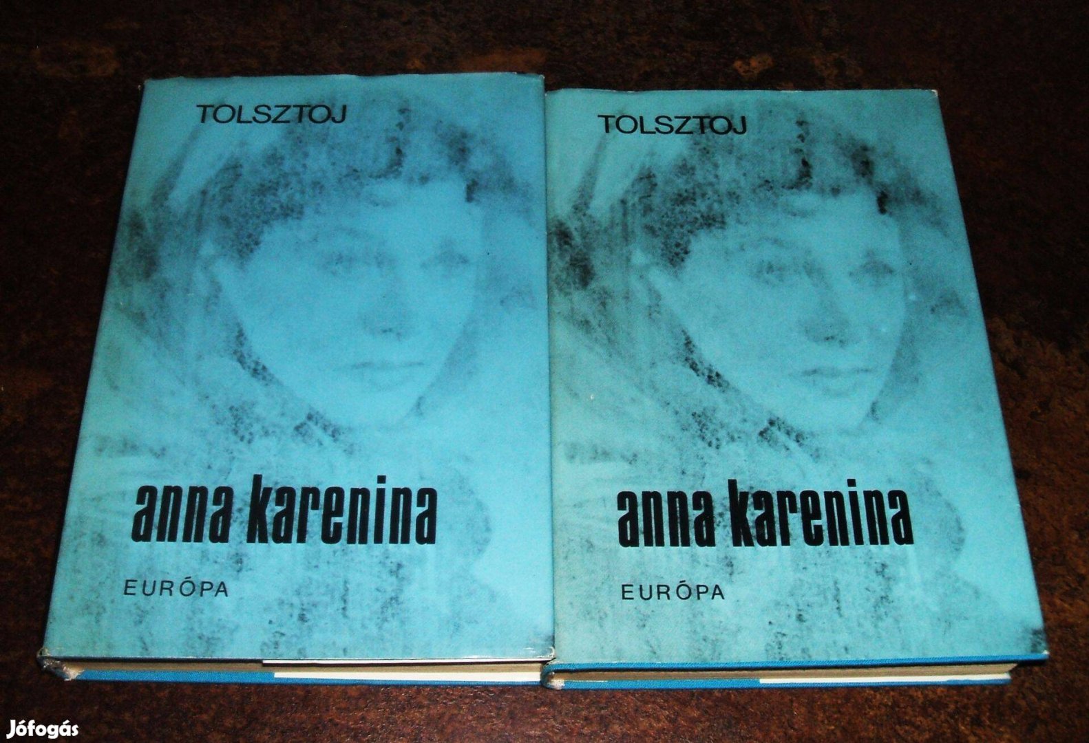 Lev Tolsztoj:Anna Karenina c. 2 kötetes regénye