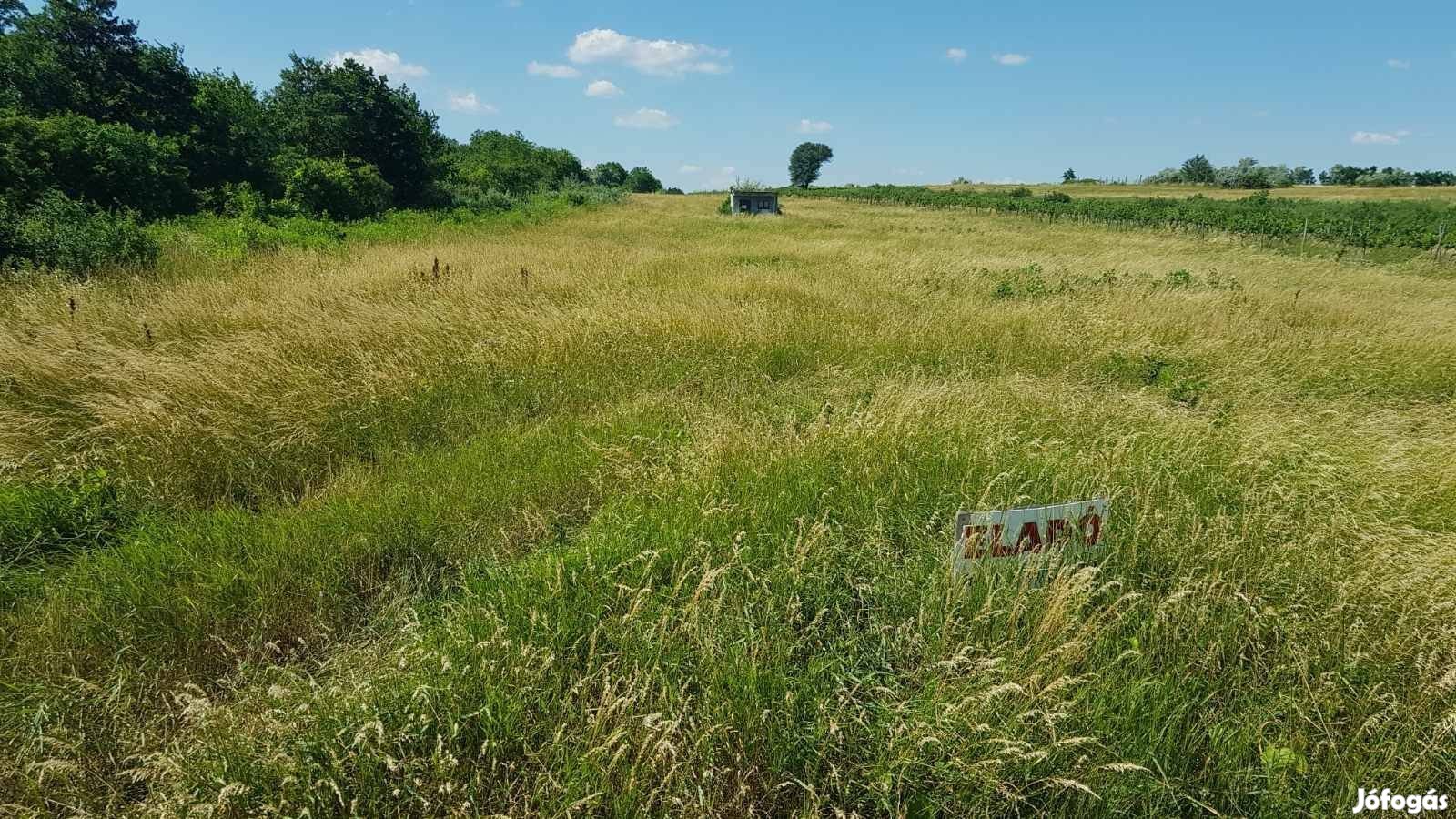 Levágandó takarmány ingyen elvihető 20260205