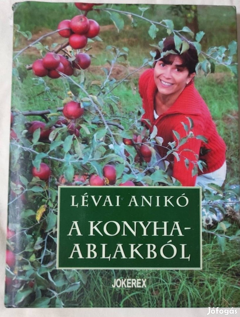 Lévai Anikó - A konyhaablakból