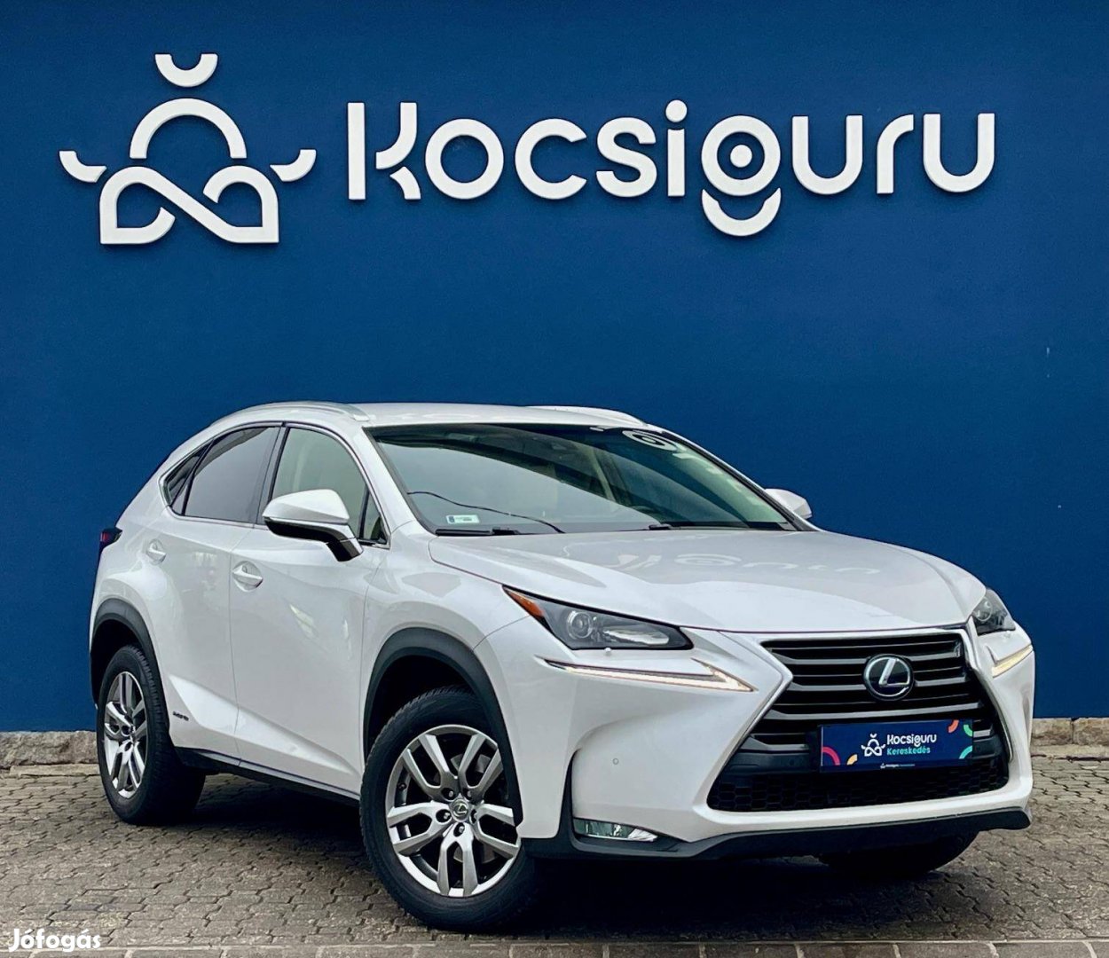 Lexus NX 300h Elegance CVT / ÁFA-s/ 2.Tulaj!/ 1...