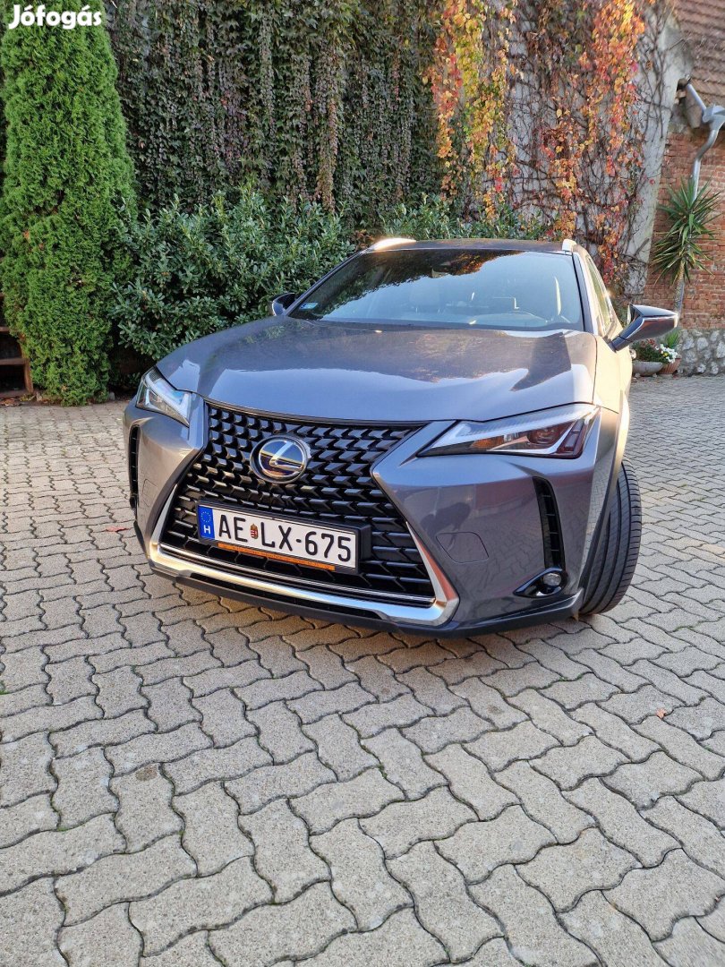 Lexus UX 250 Hybrid Eladó