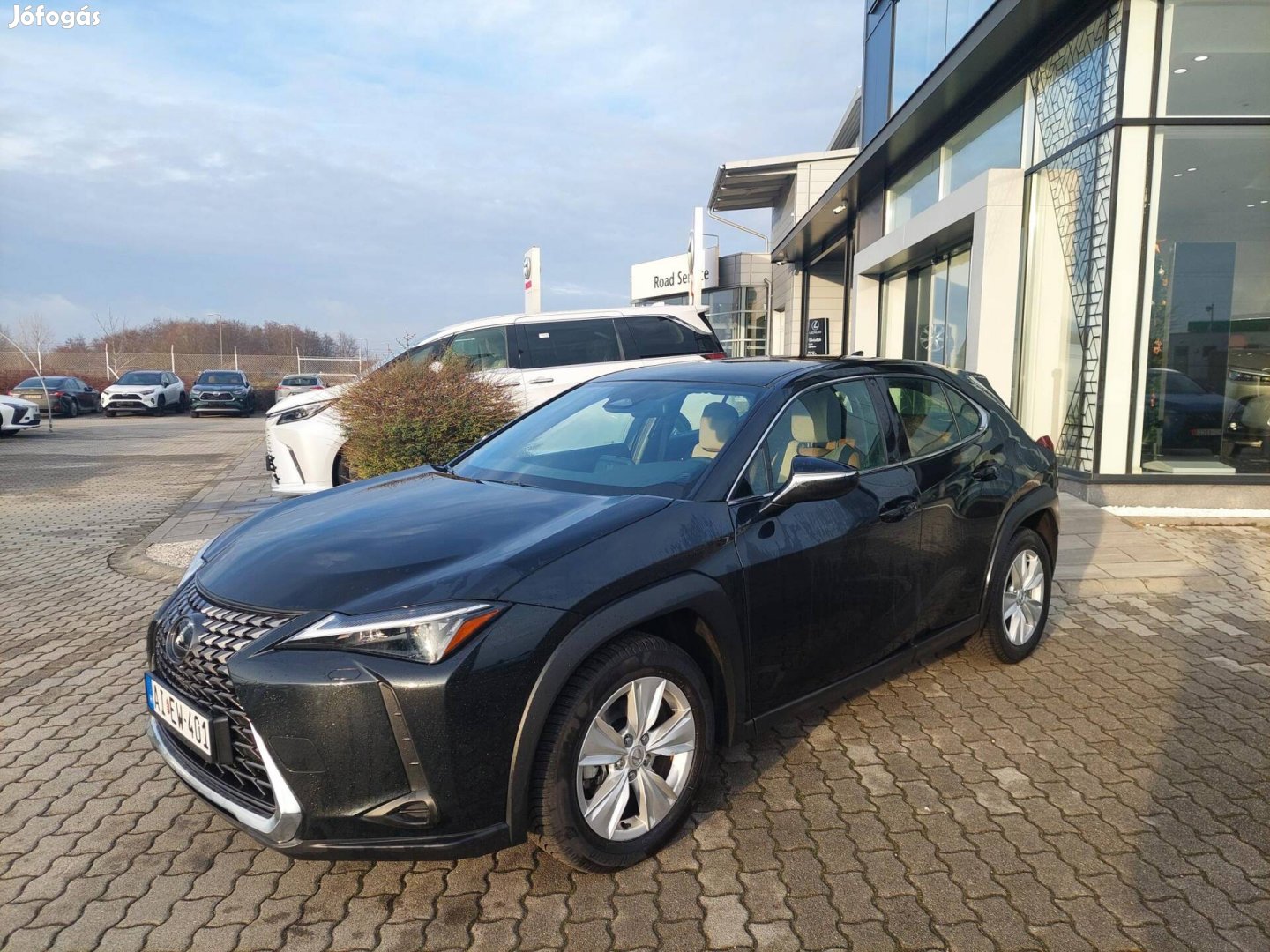 Lexus UX 300h Elegance e-CVT