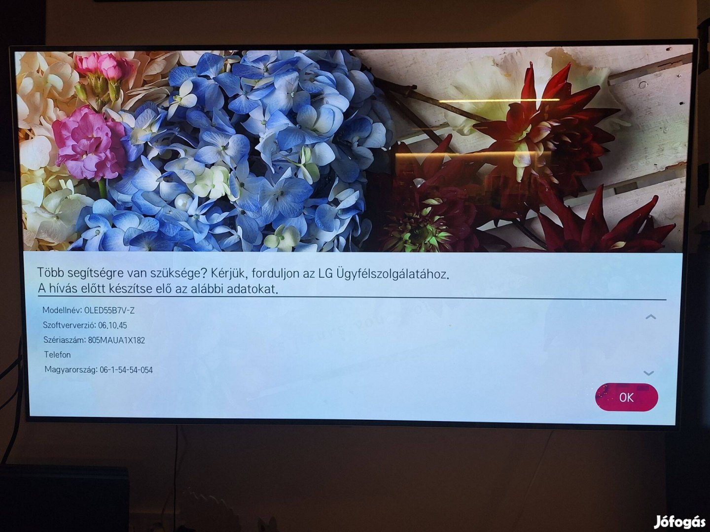 Lg 55b7 oled tv