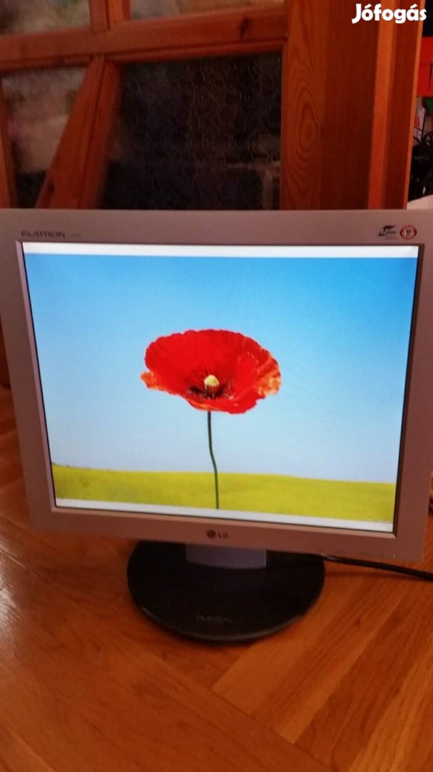 Lg Flatron 17" monitor 