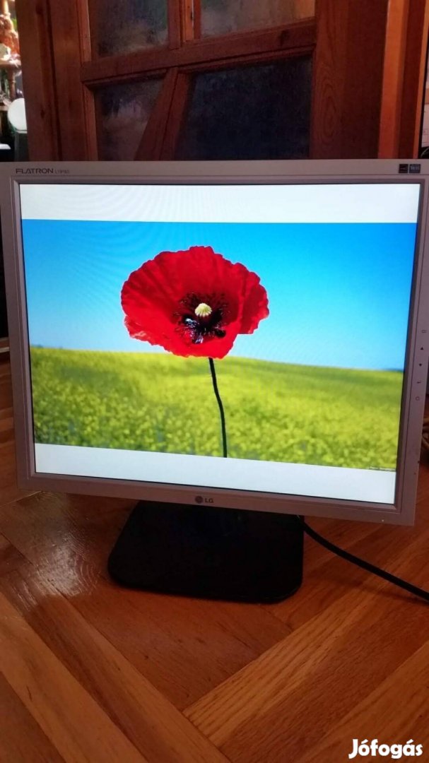 Lg Flatron 19" monitor 