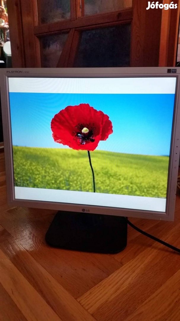 Lg Flatron 19" monitor 