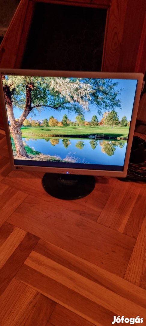 Lg Flatron L1942S 19" monitor 