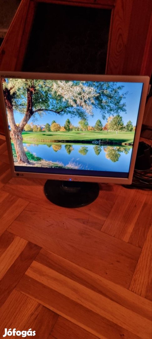 Lg Flatron L194S 19" monitor 