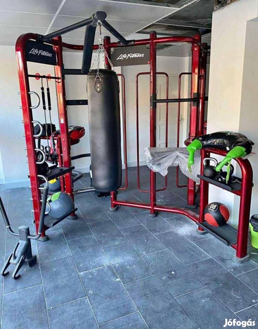 Life Fitness Snergy 360S funkcionális, köredzés keret