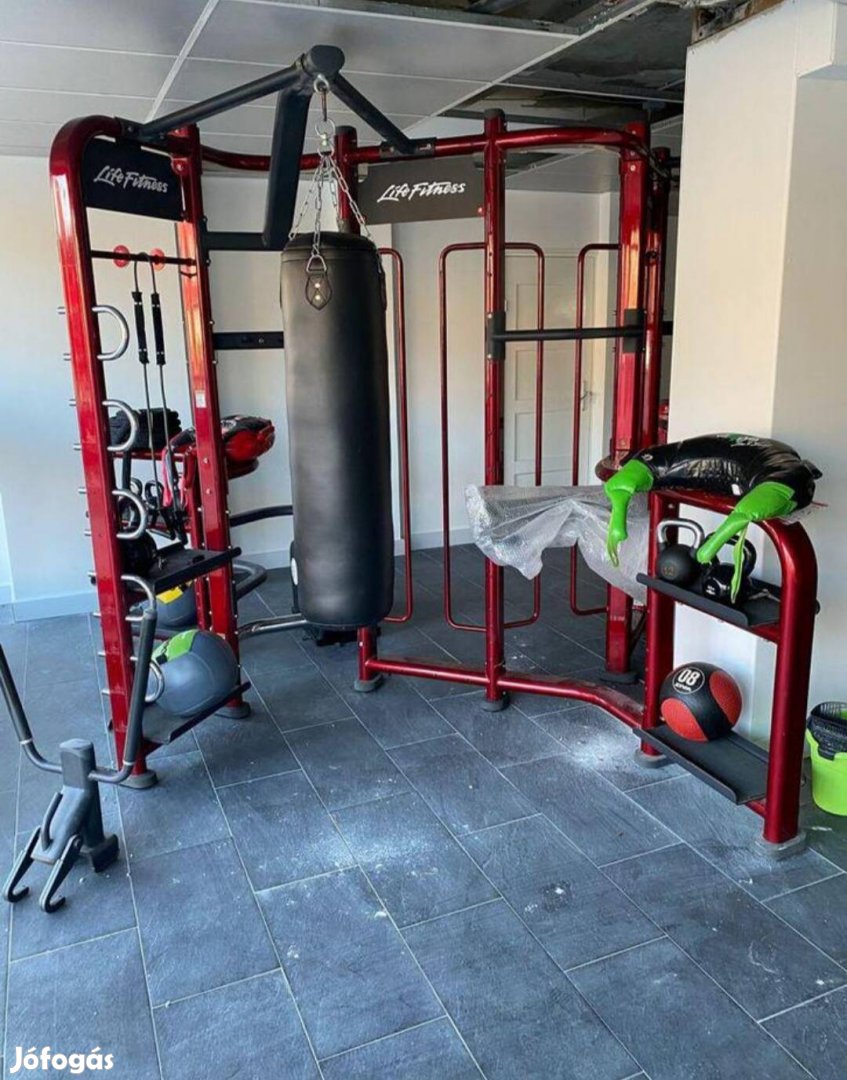 Life fitness synergy 360S funkcionális, köredzés keret