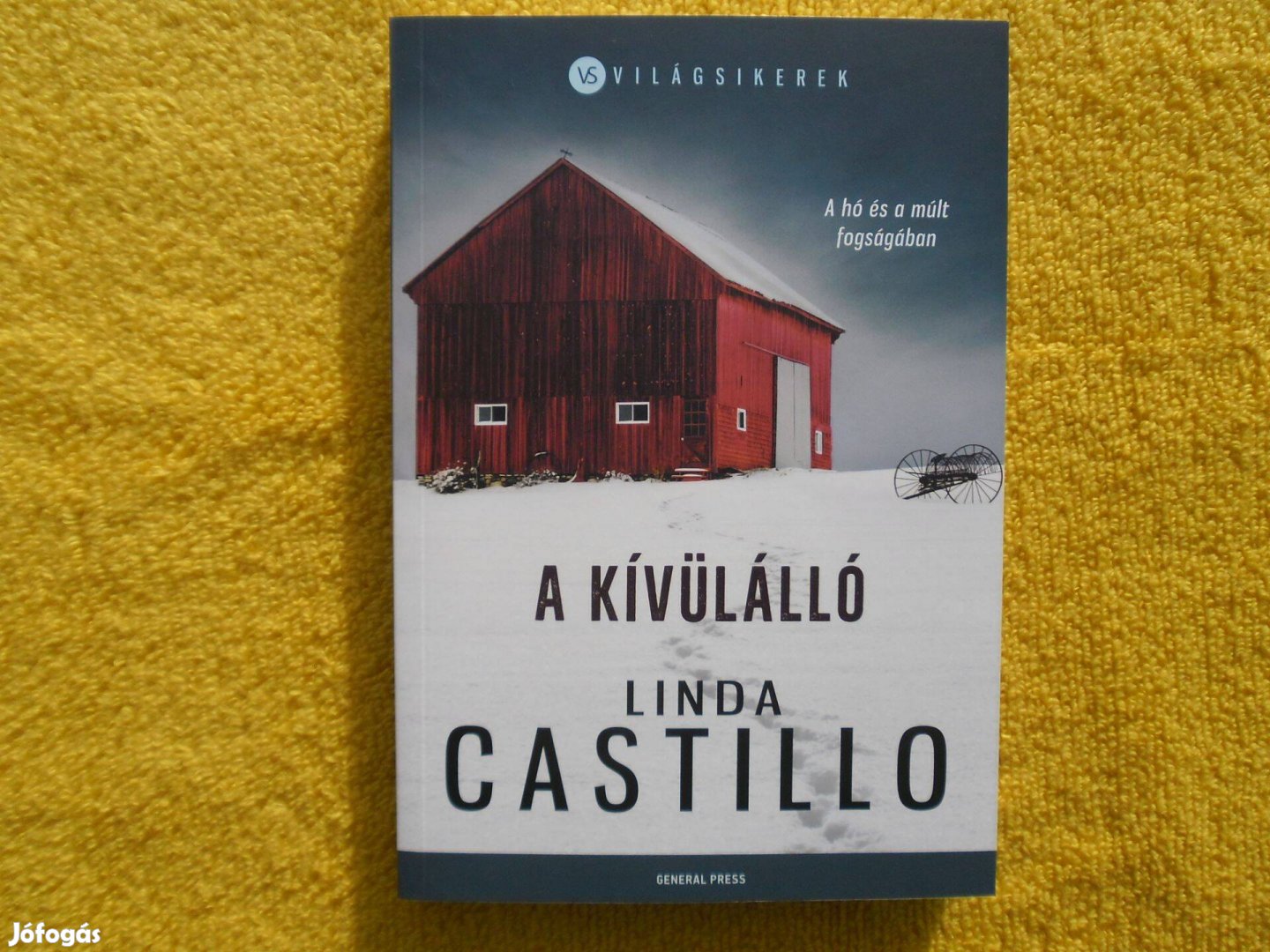 Linda Castillo: A kívülálló