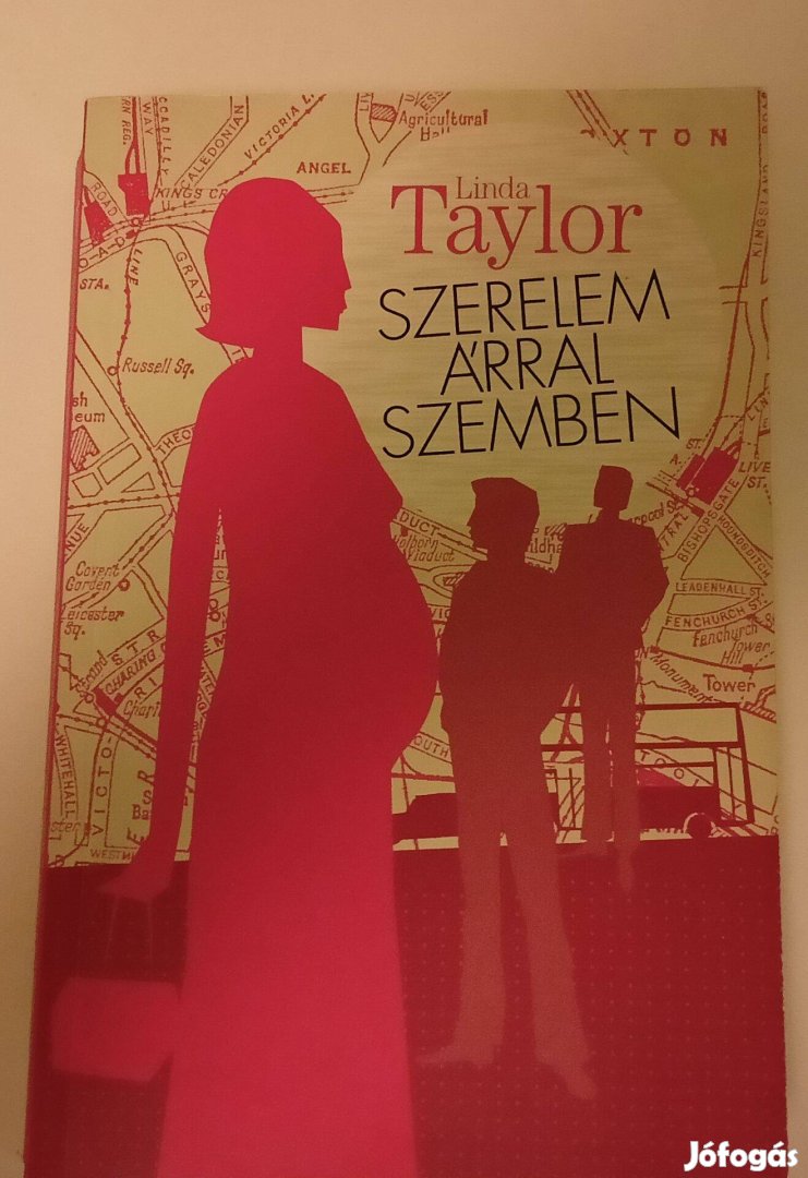 Linda Taylor: Szerelem árral szemben