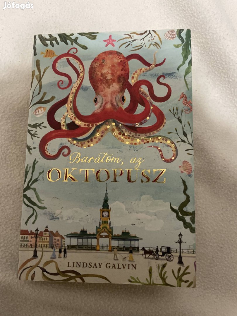 Lindsay Galvin:Barátom az oktopusz