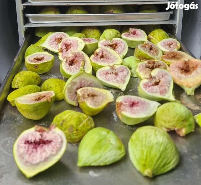 Liofilizált Fagyasztva Szárított Füge 50g  (6147)