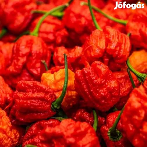 Liofilizált Fagyasztva szárított Carolina Reaper 20g  (5009)