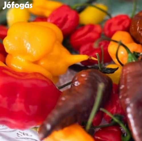 Liofilizált Fagyasztva szárított Chilli Mix 20g  (5007)