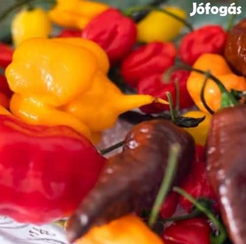 Liofilizált Fagyasztva szárított Chilli Mix 20g  (5007)