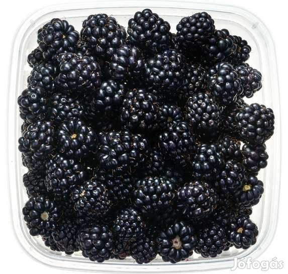 Liofilizált Fagyasztva szárított Feketeszeder 1Kg  (4790)