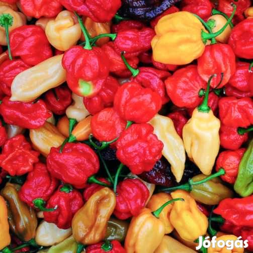 Liofilizált Fagyasztva szárított Habanero Mix 20g  (5006)