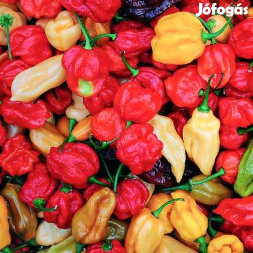Liofilizált Fagyasztva szárított Habanero Mix 20g  (5006)