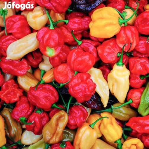 Liofilizált Fagyasztva szárított Habanero Mix 20g  (5006)