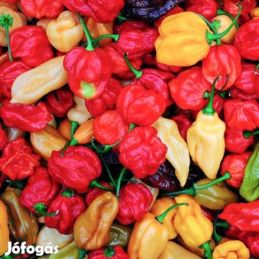 Liofilizált Fagyasztva szárított Habanero Mix 20g  (5006)