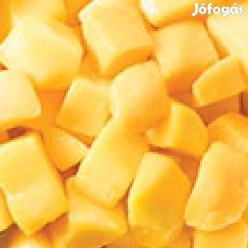Liofilizált Fagyasztva szárított Mangó Kocka 50g  (4791)