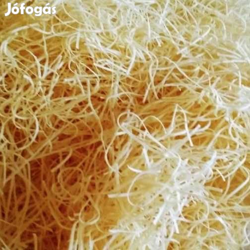 Liofilizált Főtt Cérnametélt 10 tojásos 1adag. (5086)