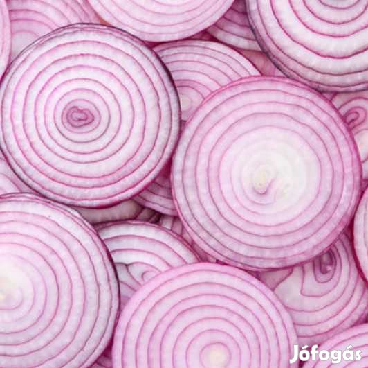 Liofilizált Lilahagyma Szeletek 50g  (4611)