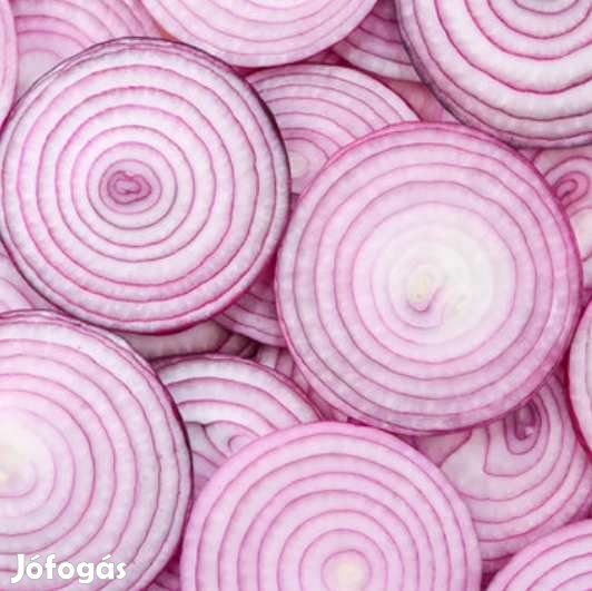 Liofilizált Lilahagyma Szeletek 50g  (4611)
