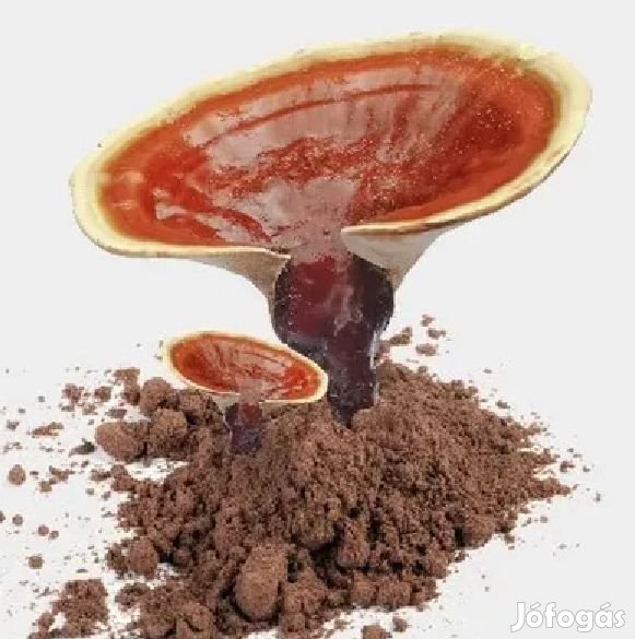 Liofilizált Reishi Ganoderma Lucidum Pecsétviaszgomba Por