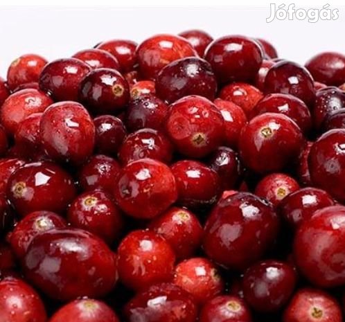 Liofilizált Vörös Áfonya  50g  (5935)